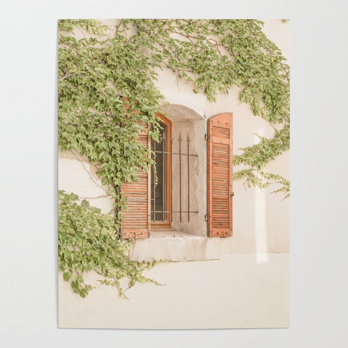 French Window Shutters Photo | Botanical Summer Art Print from Lyon | France Travel Photography Poster Gallery Image 1