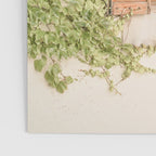French Window Shutters Photo | Botanical Summer Art Print from Lyon | France Travel Photography Poster Gallery Image 3