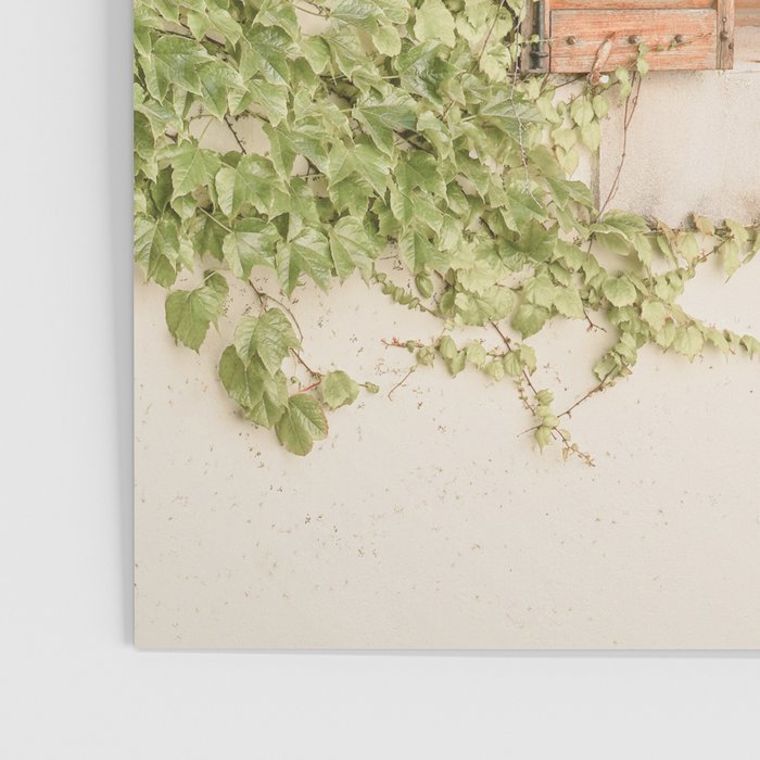 French Window Shutters Photo | Botanical Summer Art Print from Lyon | France Travel Photography Poster Gallery Image 3