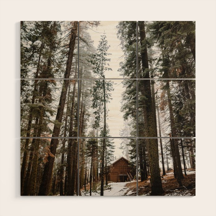 Cabin in the Woods Wood Wall Art Gallery Image 1