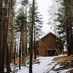 Cabin in the Woods Coffee Mug Gallery Image 2