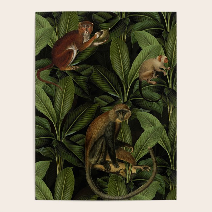 Monkey Vintage Botanical Night Jungle Garden Poster Gallery Image 1
