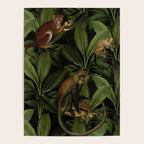 Monkey Vintage Botanical Night Jungle Garden Poster Gallery Image 4