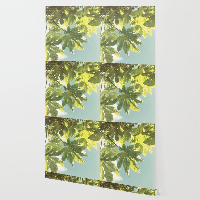Fig Leaves Wallpaper Gallery Image 2