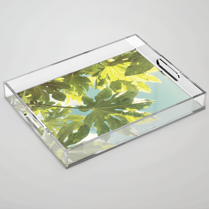 Fig Leaves Acrylic Tray Gallery Image 1