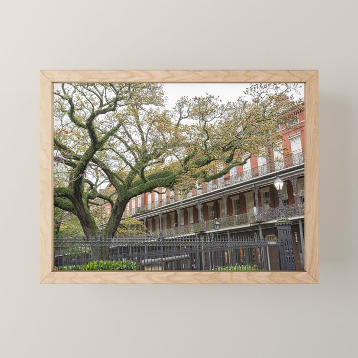 New Orleans Jackson Square Photography Mini Art Print Gallery Image 1