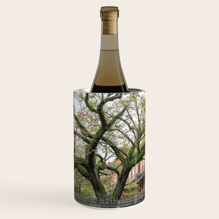 New Orleans Jackson Square Photography Wine Chiller Gallery Image 2