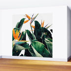 Paradise Bird, Nature Botanical Plant Floral, Tropical Garden Watercolor Painting Wall Mural Gallery Image 2