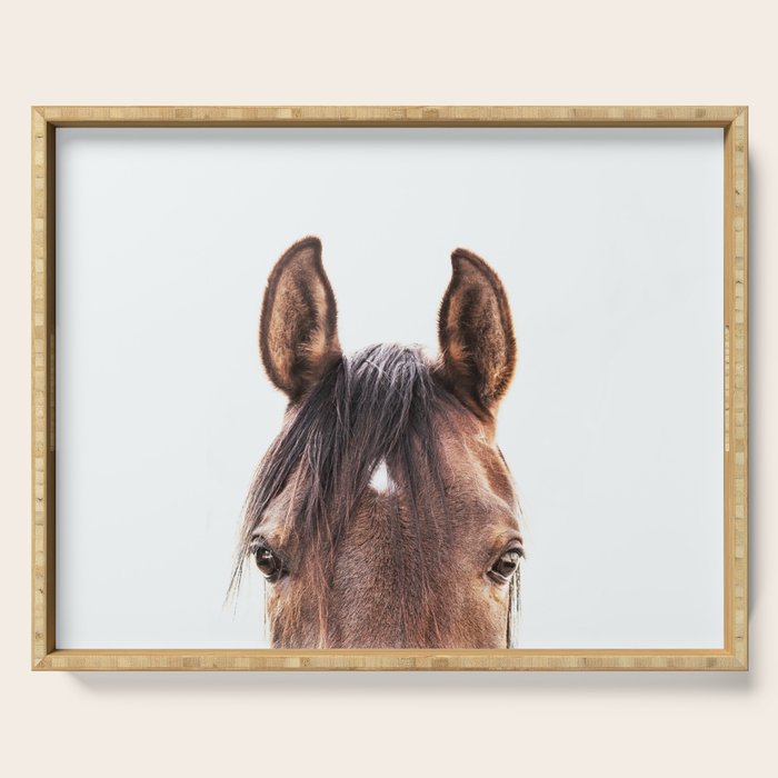 peekaboo horse, bw horse print, horse photo, equestrian, equestrian photo, equestrian decor Serving Tray Gallery Image 1