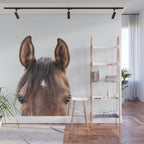 peekaboo horse, bw horse print, horse photo, equestrian, equestrian photo, equestrian decor Wall Mural Gallery Image 1