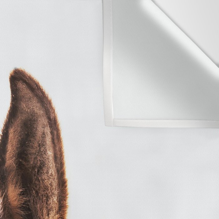 peekaboo horse, bw horse print, horse photo, equestrian, equestrian photo, equestrian decor Wall Tapestry Gallery Image 3