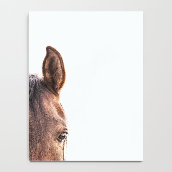 peekaboo horse, bw horse print, horse photo, equestrian, equestrian photo, equestrian decor Notebook Gallery Image 4