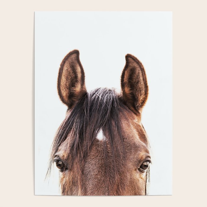 peekaboo horse, bw horse print, horse photo, equestrian, equestrian photo, equestrian decor Poster Gallery Image 1