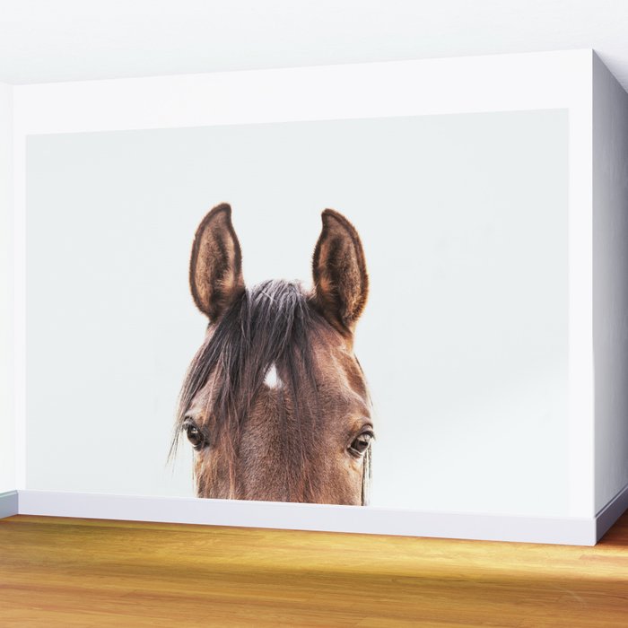 peekaboo horse, bw horse print, horse photo, equestrian, equestrian photo, equestrian decor Wall Mural Gallery Image 2