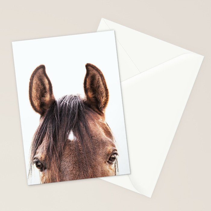 peekaboo horse, bw horse print, horse photo, equestrian, equestrian photo, equestrian decor Stationery Card Gallery Image 2