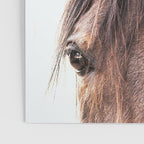 peekaboo horse, bw horse print, horse photo, equestrian, equestrian photo, equestrian decor Poster Gallery Image 3