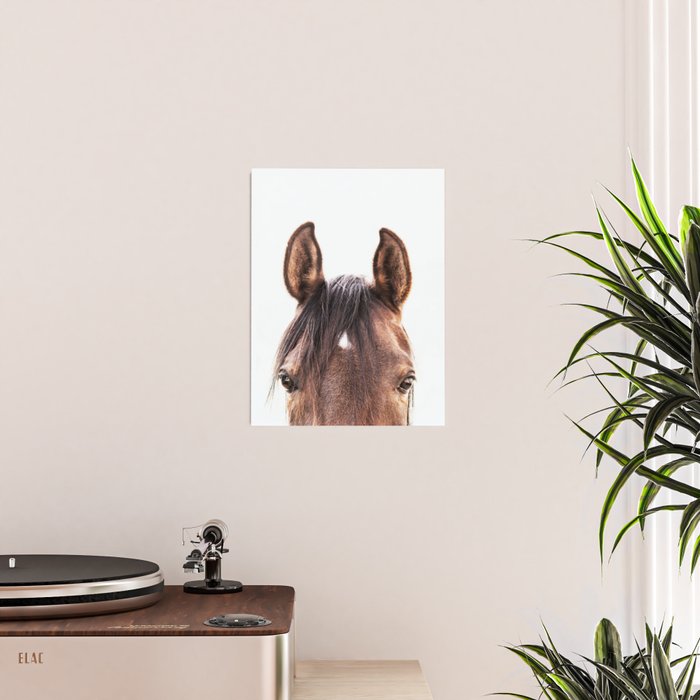 peekaboo horse, bw horse print, horse photo, equestrian, equestrian photo, equestrian decor Poster Gallery Image 2