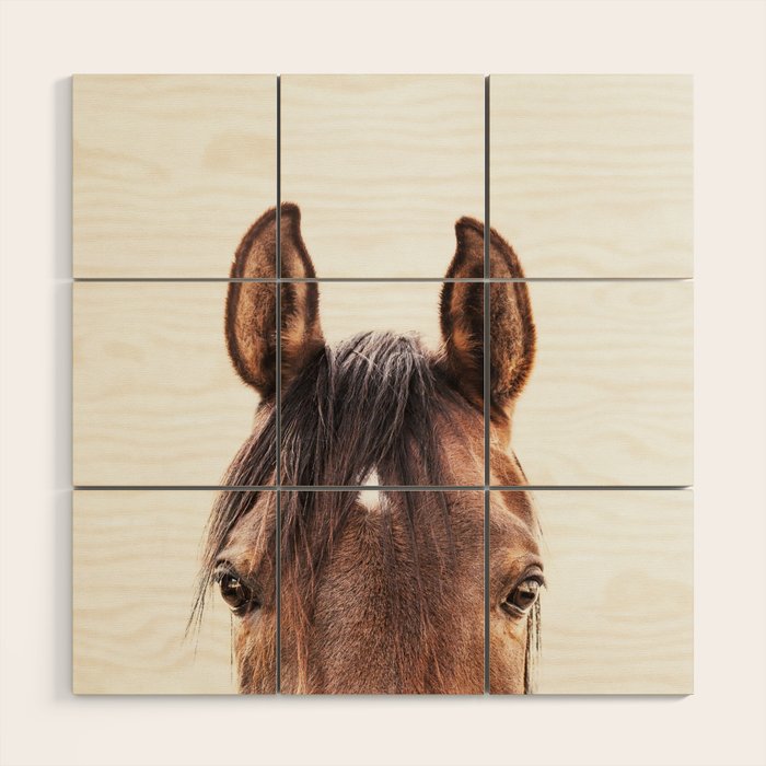 peekaboo horse, bw horse print, horse photo, equestrian, equestrian photo, equestrian decor Wood Wall Art Gallery Image 1