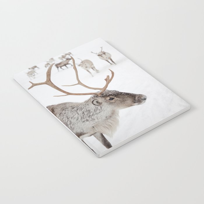 Reindeer With Antlers Art Print | Tromsø Norway Animal Snow Photo | Arctic Winter Travel Photography Notebook Gallery Image 2
