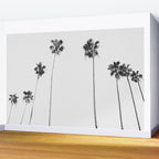 Black & White Palms Wall Mural Gallery Image 2