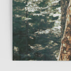 Trail Sign Poster Gallery Image 3
