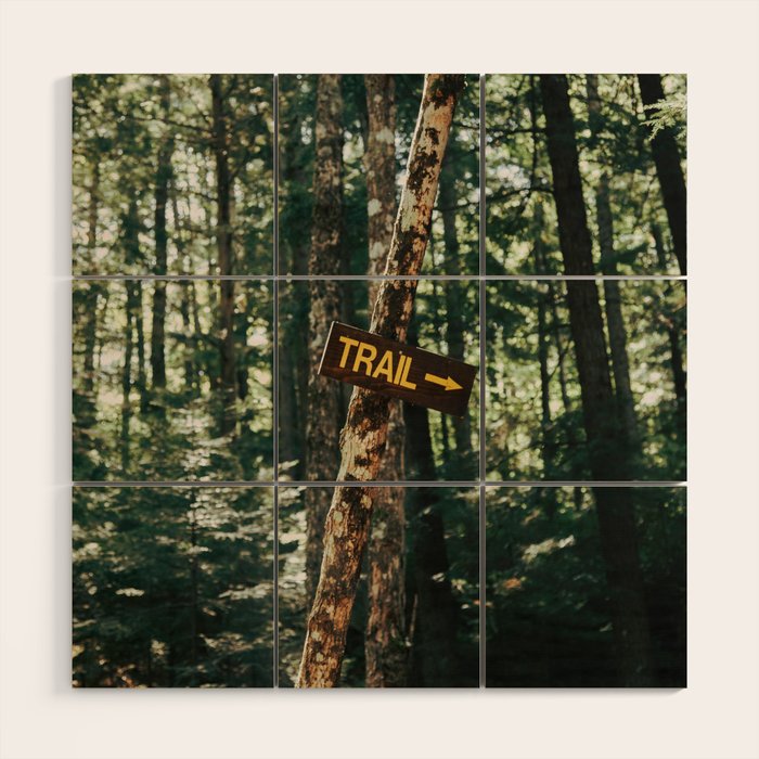 Trail Sign Wood Wall Art Gallery Image 1
