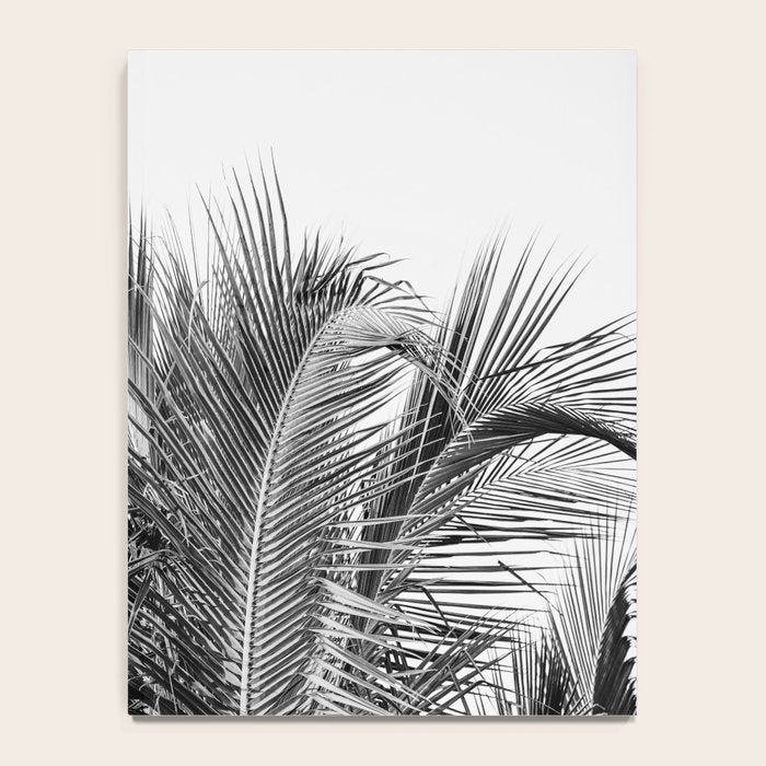 Tropical Black And White Photograph - No 13 Notebook Gallery Image 4