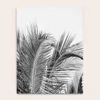 Tropical Black And White Photograph - No 13 Notebook Gallery Image 4