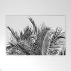 Tropical Black And White Photograph - No 13 Welcome Mat Gallery Image 1
