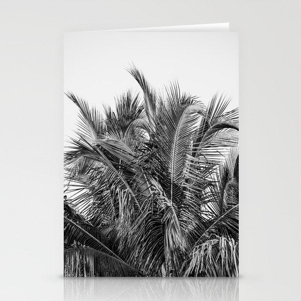 Tropical Black And White Photograph - No 13 Stationery Card Gallery Image 2