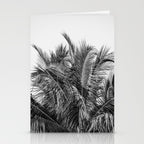 Tropical Black And White Photograph - No 13 Stationery Card Gallery Image 2