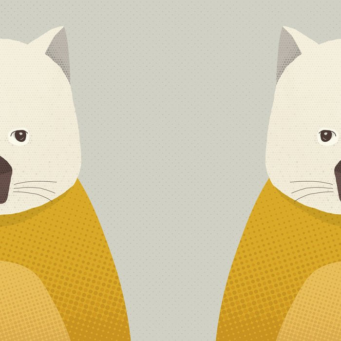 Whimsy Wombat, Animal Portrait Coffee Mug Gallery Image 2