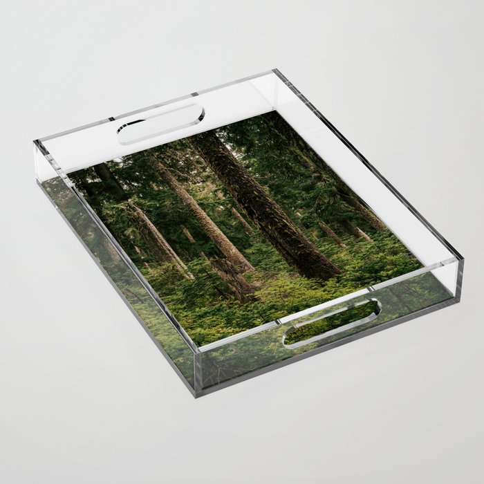Green Forest Acrylic Tray Gallery Image 1