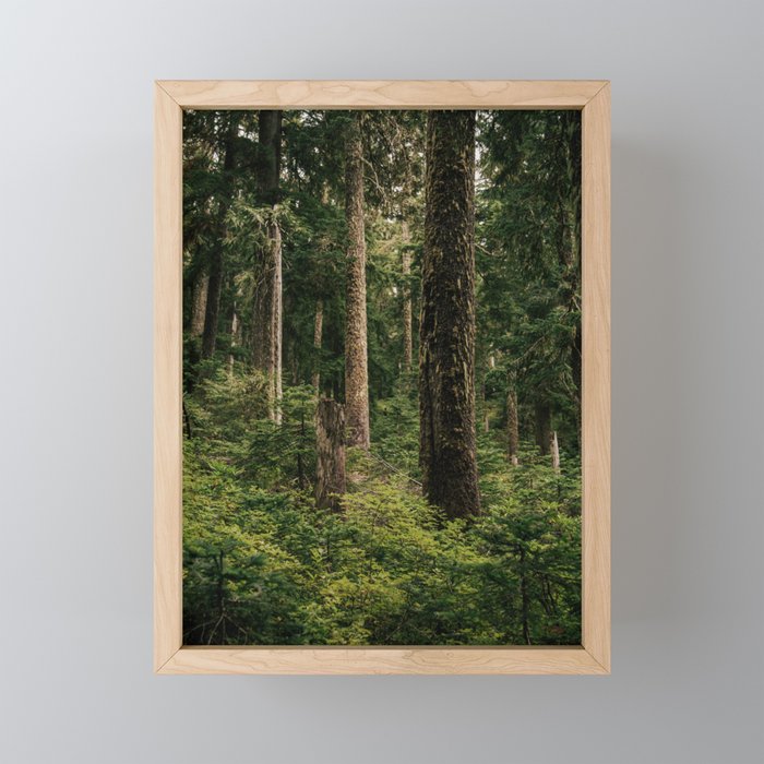 Green Forest Mini Art Print Gallery Image 1
