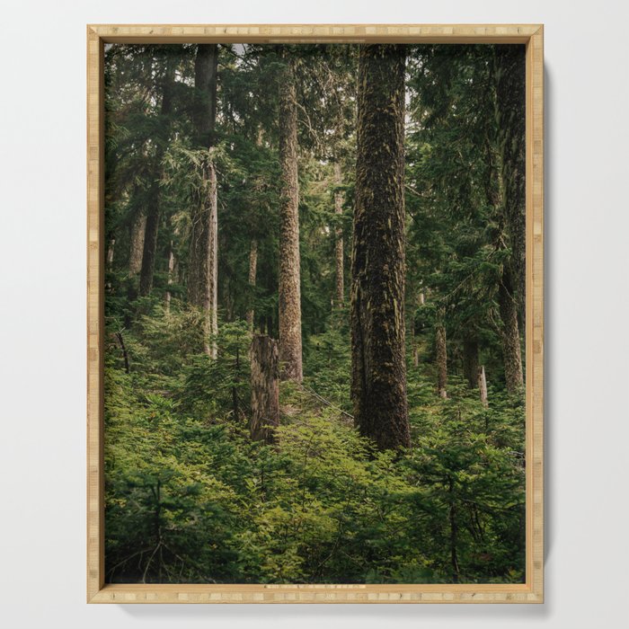 Green Forest Serving Tray Gallery Image 1
