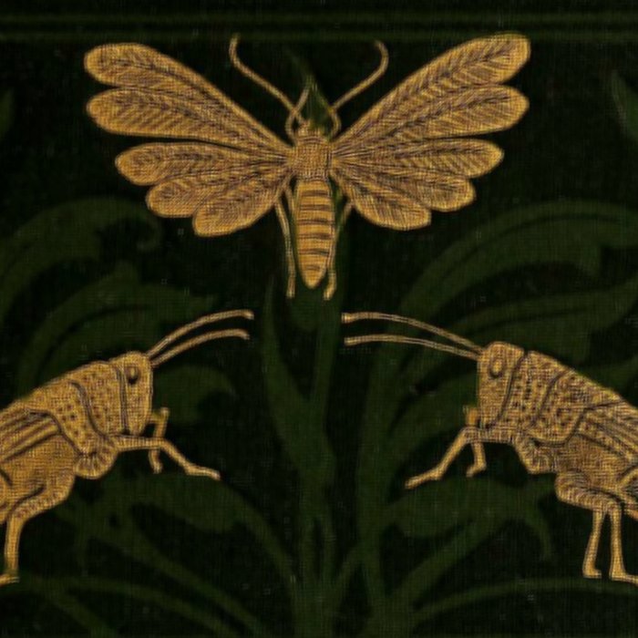 Art Nouveau Insects Coffee Mug Gallery Image 2