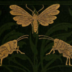 Art Nouveau Insects Coffee Mug Gallery Image 2