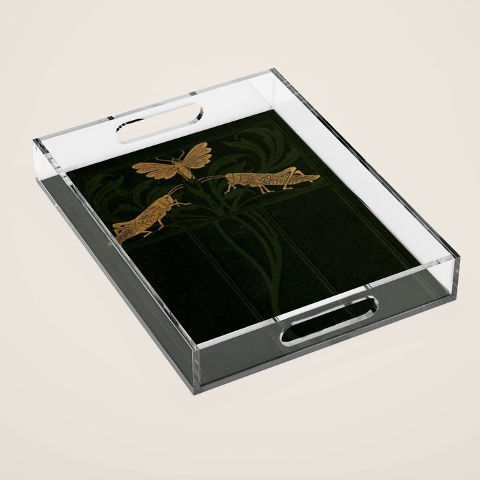 Art Nouveau Insects Acrylic Tray Gallery Image 1