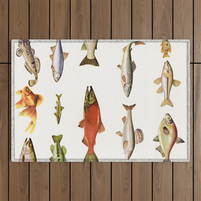 Fishing Line Outdoor Rug Gallery Image 1