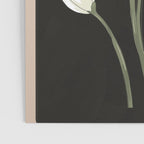 Beautiful Snowdrop Flowers 1 Poster Gallery Image 3