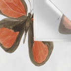 Orange Butterflies Wall Tapestry Gallery Image 3
