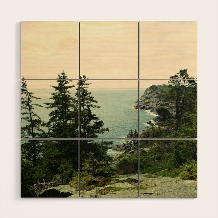 Path Through the Trees Wood Wall Art Gallery Image 1