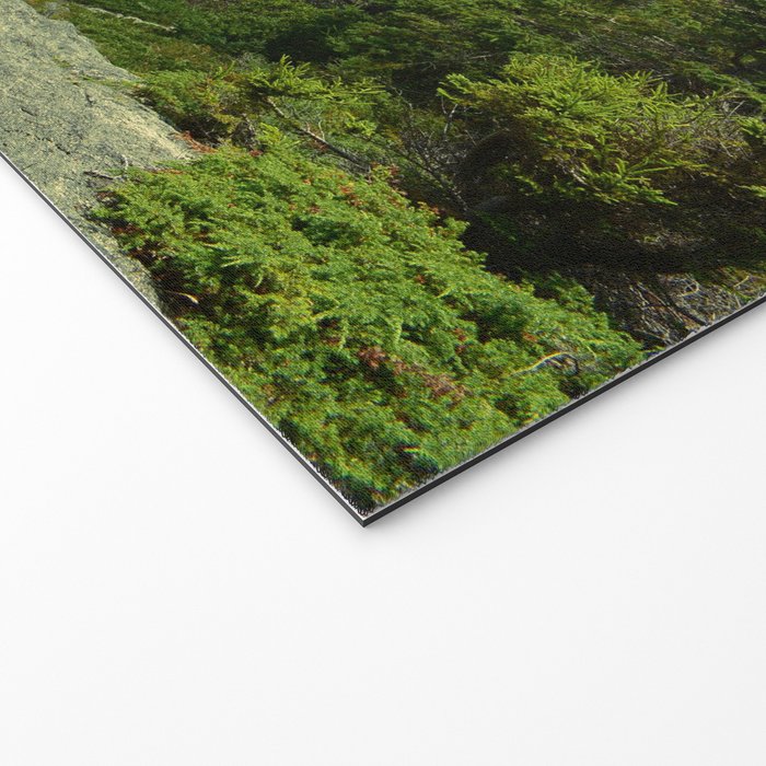 Path Through the Trees Welcome Mat Gallery Image 2