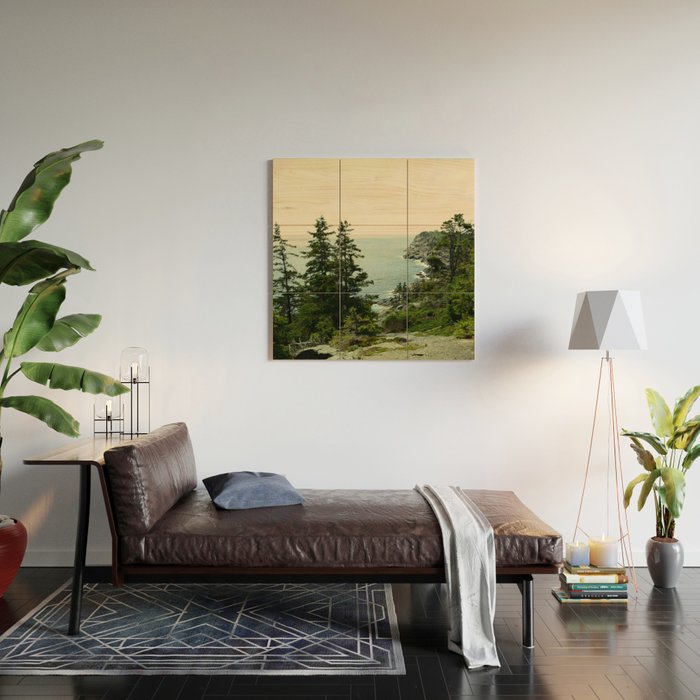 Path Through the Trees Wood Wall Art Gallery Image 2