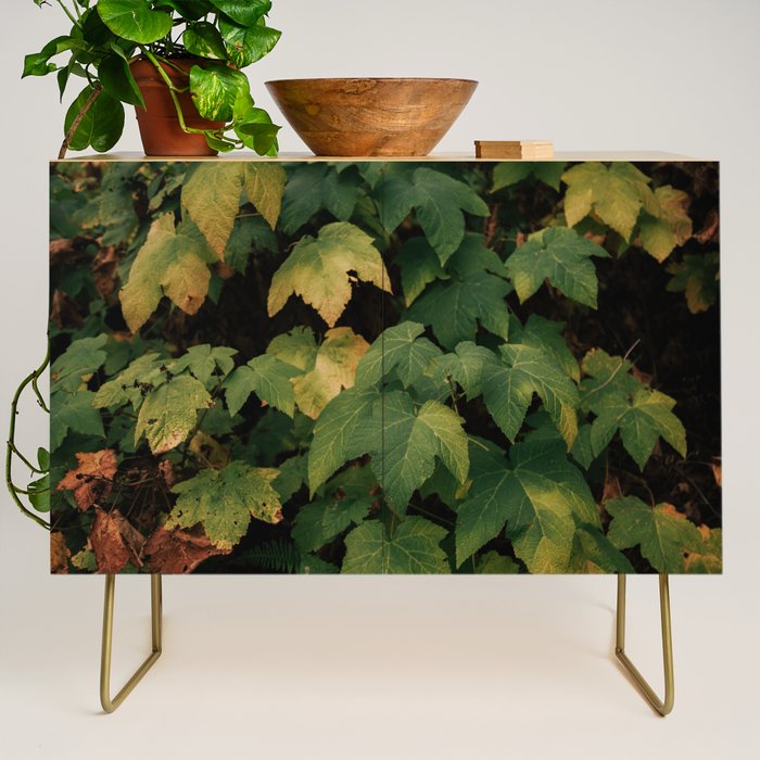 Early Foliage Credenza Gallery Image 1