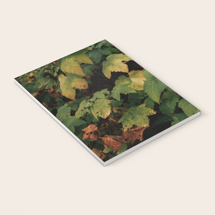 Early Foliage Notebook Gallery Image 3