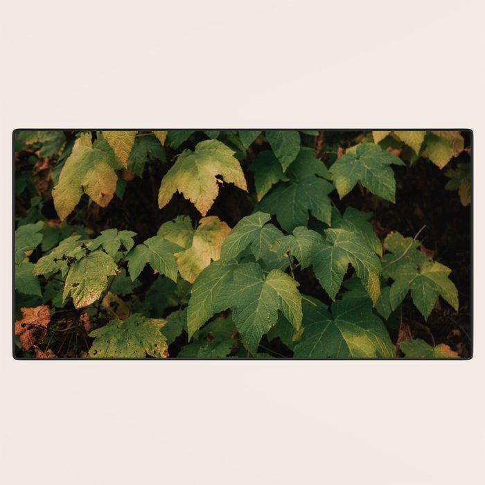 Early Foliage Desk Mat Gallery Image 3