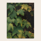 Early Foliage Notebook Gallery Image 4