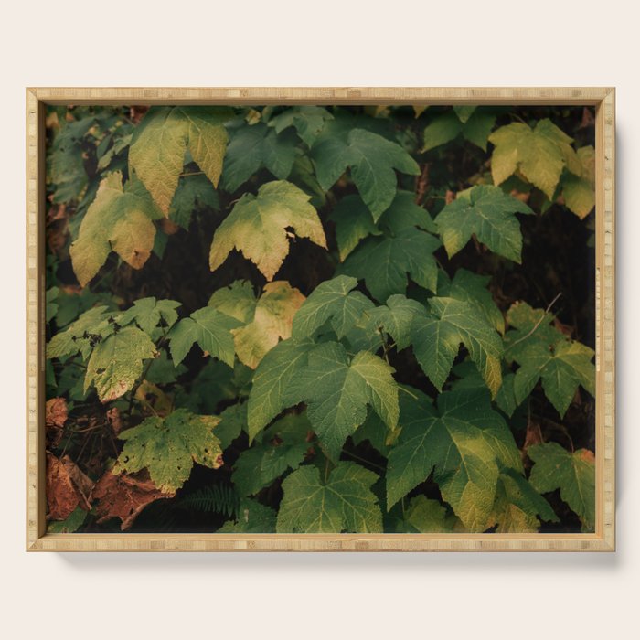 Early Foliage Serving Tray Gallery Image 1