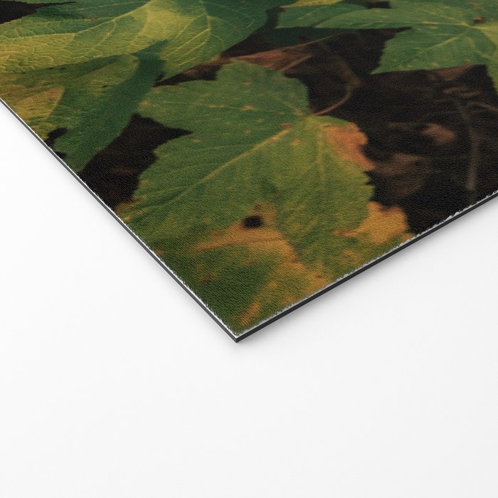Early Foliage Welcome Mat Gallery Image 2
